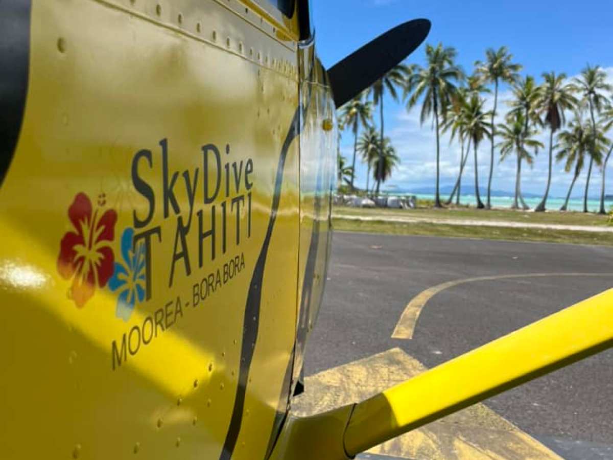 Side view of a yellow Skydive Tahiti plane with palm trees in the background.